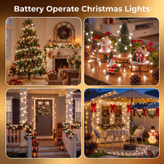 21FT 60 LED Battery Operated Globe Fairy Lights for Christmas Decor, 8 Modes, Cool White