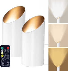 LED Spotlights - 2 Pack Uplighting Floor Can Lights with Remote