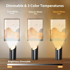 LED Floor Can Lights - 6000K, Remote, Timer, Dimmable - Indoor Uplighting (Black)