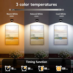 Magnetic Picture Lights - 2/3 Pack, Remote Control, Dimmable