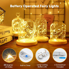 6 Pack 7ft 20 LED Battery Operated Silver Wire Firefly String Lights, Warm White