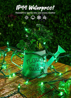 St. Patrick Mini String Lights - 50 Count, 12 FT, Green