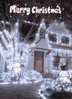 Pure White Fairy Firecracker Lights - 5ft, 60 LEDs with Remote, 2 Pack