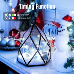 5 Pack 7FT 20 LED String Lights with Timer in Blue White