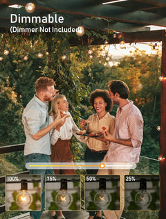 G40 Globe LED Patio Lights - Black, Waterproof