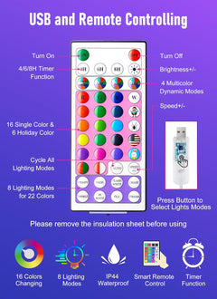 Color Changing String Lights, 66 FT, 200 LED with Remote