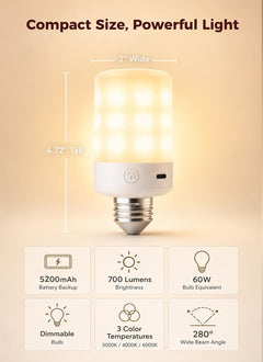2 Pack E26 Rechargeable 5200mAh Light Bulbs with Remote for Lamps, Timer & 9 RGB Colors