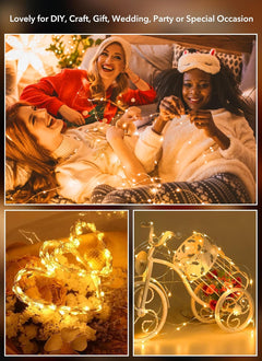 12 Pack 7FT 20 LED Battery Operated Silver Wire Firefly Starry Moon Lights for DIY Crafts