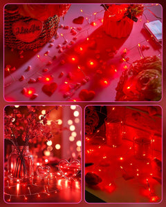 Red Fairy Lights, 5FT Battery Operated 60 LED String Lights