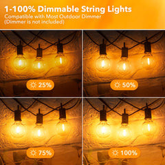 Outdoor String Lights - 50 G40 Shatterproof Bulbs, IP44 Waterproof