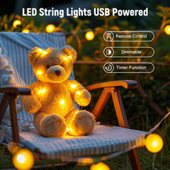 100 LED String Lights - 39.5 Ft USB Fairy Lights, Warm White