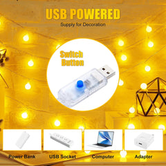 USB Globe String Lights - 2 Pack, 100 LED, Remote Control