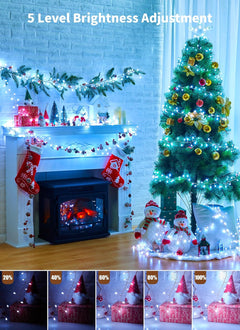 Color Changing Fairy Lights, 10FT 100 LED with Remote