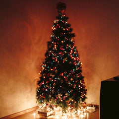 50 Feet / 50 Bulbs / Green Wire