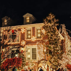 12 Feet 50 Count Incandescent Bulbs Mini Lights for Indoor Outdoor Xmas Tree Easter Valentine’s Day Wedding