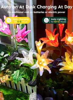 Solar Flower Lights - 4 Pack, LED, Waterproof, Multicolor