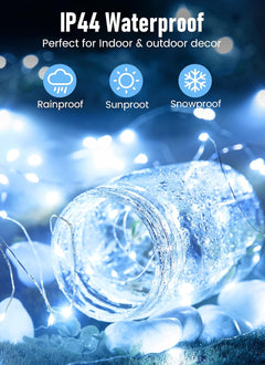 Battery Operated Fairy Lights - 33FT 100 LED Variants