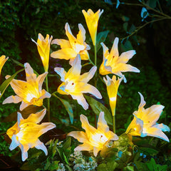 Solar Garden Lights - 4 Pack, LED Lily, Waterproof, White