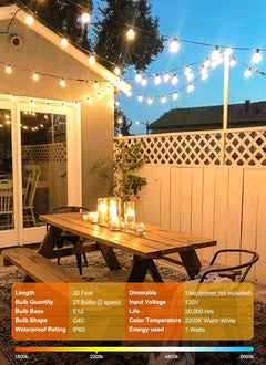 30FT Plug In G40 LED String Lights with 25 Edison Bulbs for Patio Garden Cafe Wedding