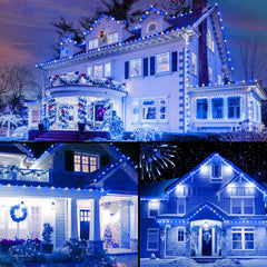 C9 LED Christmas String Lights, 66ft 100 LED Waterproof Strawberry String Lights, Plug-in Extendable Green Wire Lights, Blue and White