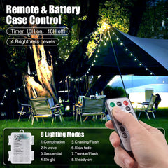 21FT 60 LED Battery Operated Globe Fairy Lights with Remote, 8 Modes, Cool White