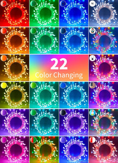 Color Changing Fairy Lights - 22 Colors, 20FT, 200 LEDs
