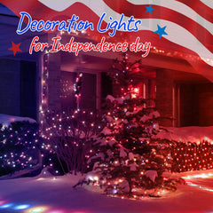 25ft 100 Count Mini Bulbs String Lights for Party Wedding Festival Decor, Green Wire