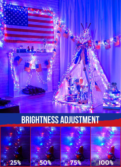 Red White Blue 1000 LED 50ft Patriotic Cluster String Lights with 8 Modes, Waterproof