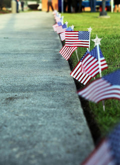 Red White Blue 6 Flag Pathway Lights with 8 Modes for Outdoor Patriotic Decor