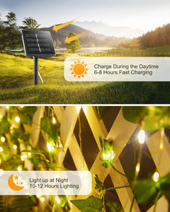 Solar Vine String Lights with Ivy - 66Ft, 2 Packs,