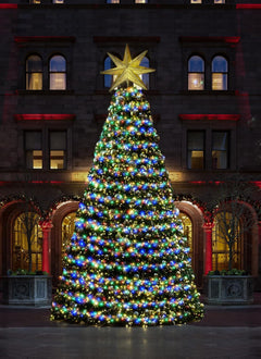 Battery Operated Fairy Lights - 5ft 60 LEDs, Remote