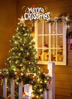 2 Pack 39FT LED Christmas Mini Lights with 100 Clear Bulbs, Warm White