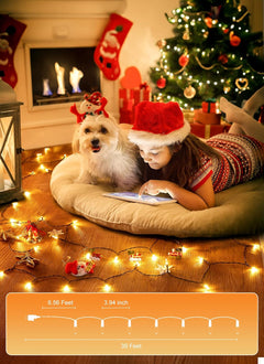 2 Pack 39FT LED Christmas Mini Lights with 100 Clear Bulbs, Warm White