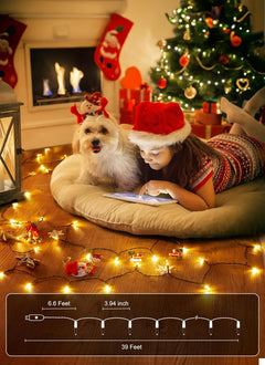 39FT LED Christmas Mini String Lights with Remote, USB Operated