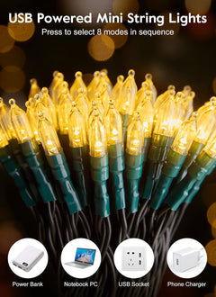 39FT LED Christmas Mini String Lights with Remote, USB Operated