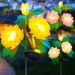 1 x 3 Pack / Peony / LED