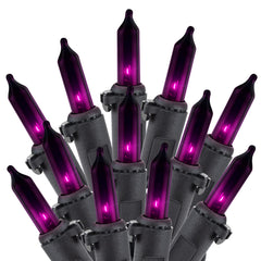 2 x 25 Feet / 100 Bulbs / Clear Purple