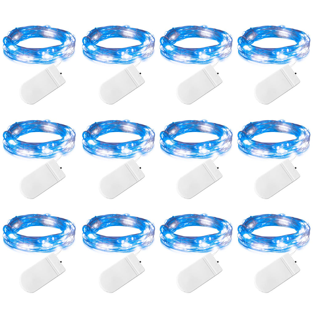 12 x 7 Feet / 20 LED / Blue & White