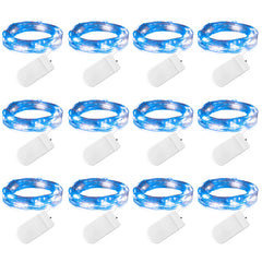 12 x 7 Feet / 20 LED / Blue & White