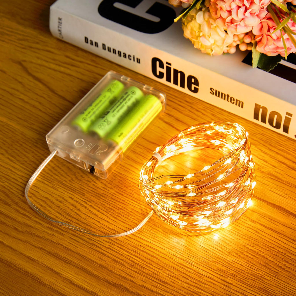 2 x 33FT / 100 LED / Warm White