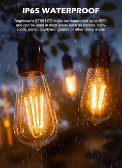 4 Count / LED Bulb / Warm White