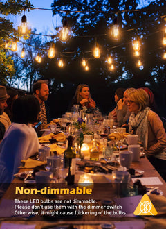 2 Count / LED Bulb / Warm White