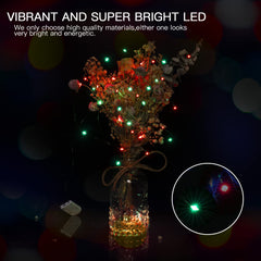 12 x 7 Feet / 20 LED / Red & Green