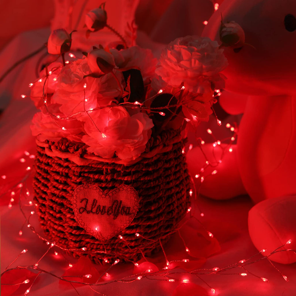 1 x 10 Feet / 200 LED / Red / Silver Wire