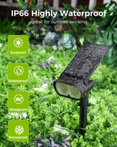 4 Pack / 3 Colors / Remote