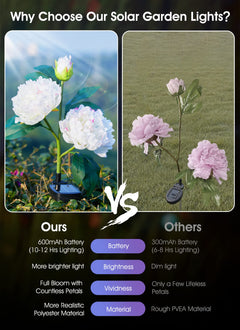 1 x 3 Pack / Peony / LED