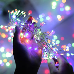 1 x 10 Feet / 200 LED / Multicolor / Silver Wire