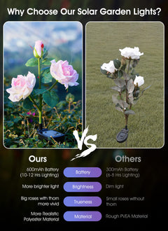 1 x 4 Pack / Rose / LED