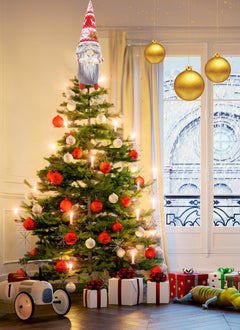 16 Inches / Gnome Star / Warm White