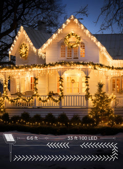 39FT / 100LED